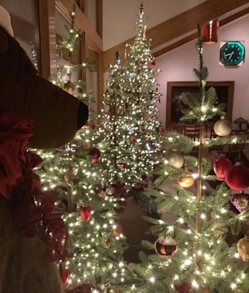 Demi Moore's living room looks like a Christmas tree farm in ...