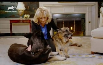jill-biden-living-room-white-house