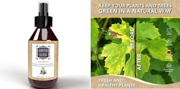 leaf spot treatment amazon sale