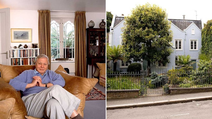 David Attenborough's beautiful London home revealed | HELLO!