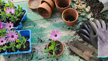 best-gardening-tools-to-shop-before-spring
