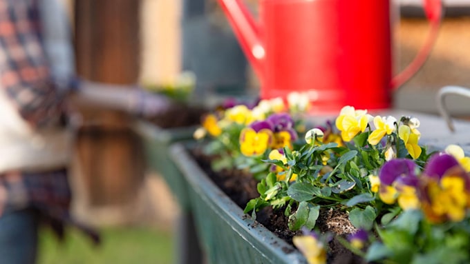 5 simple gardening jobs you can do now before spring | HELLO!
