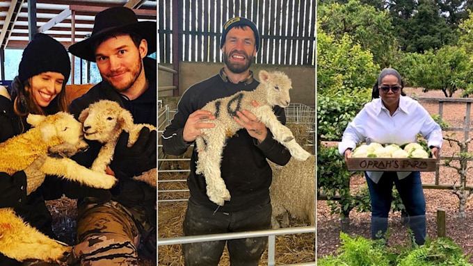 Kelvin Fletcher and 12 more celebrities who live on farms | HELLO! Kelvin Fletcher and 12 more celebrities who live on farms | HELLO!
