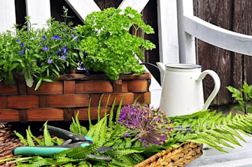 herb garden bench