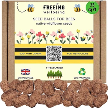 seed-balls-for-bees
