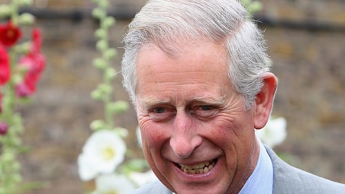 Prince Charles' rainbow kitchen garden is magical in new photo