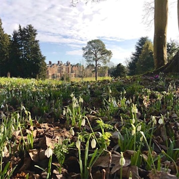 sandringham-gardens