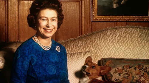 Rare footage of the Queen at home with her Corgis will warm your heart