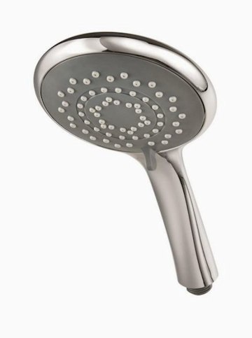 best cheap budget shower head triton