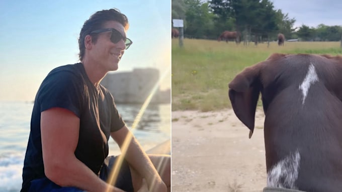 david muir