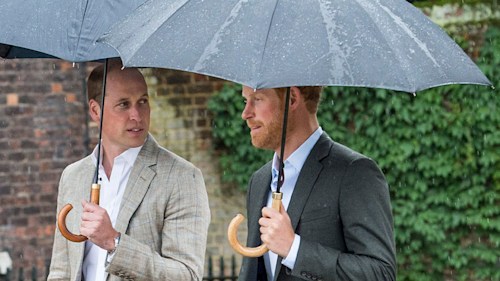 Prince William voices concerns for Prince Harry's privacy in unearthed clip at home