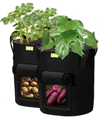 potato growing kit