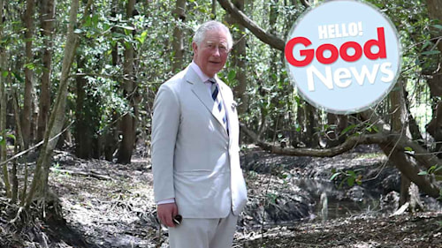 The breakthrough news that will make Prince Charles incredibly happy