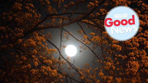 There’s still time to see the last supermoon of the year!