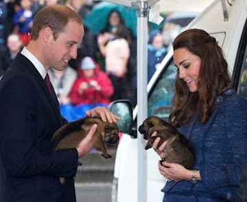 Royal visit: Prince William and Kate Middleton pay respects at New ...