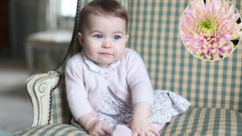 Princess Charlotte has pink flower named after her ahead of 1st birthday
