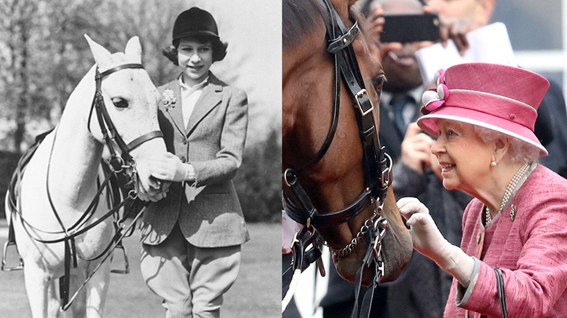 Queen Elizabeth's love of horses: A look at her equestrian life | HELLO!