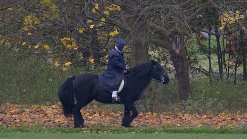 The Queen, 91, enjoys horse ride ahead of 70th wedding anniversary