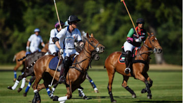 Prince Harry at polo match