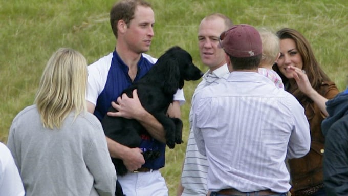 what kind of dog do william and kate have