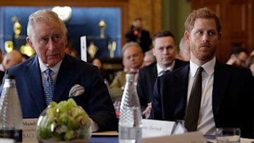 prince charles and prince harry at roundtable discussion
