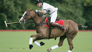 harry playing polo