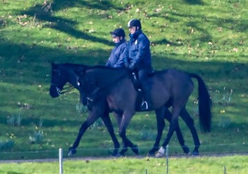 Prince Andrew spotted enjoying low-key horse ride around Windsor | HELLO!