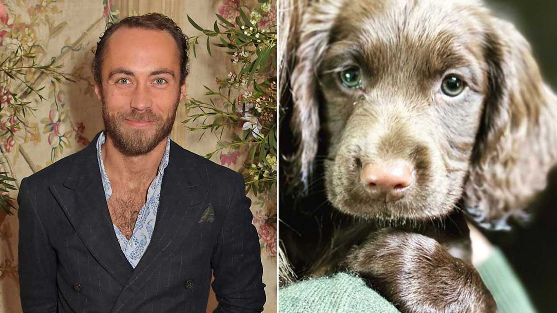 Kate Middleton's brother James cute new addition to the family