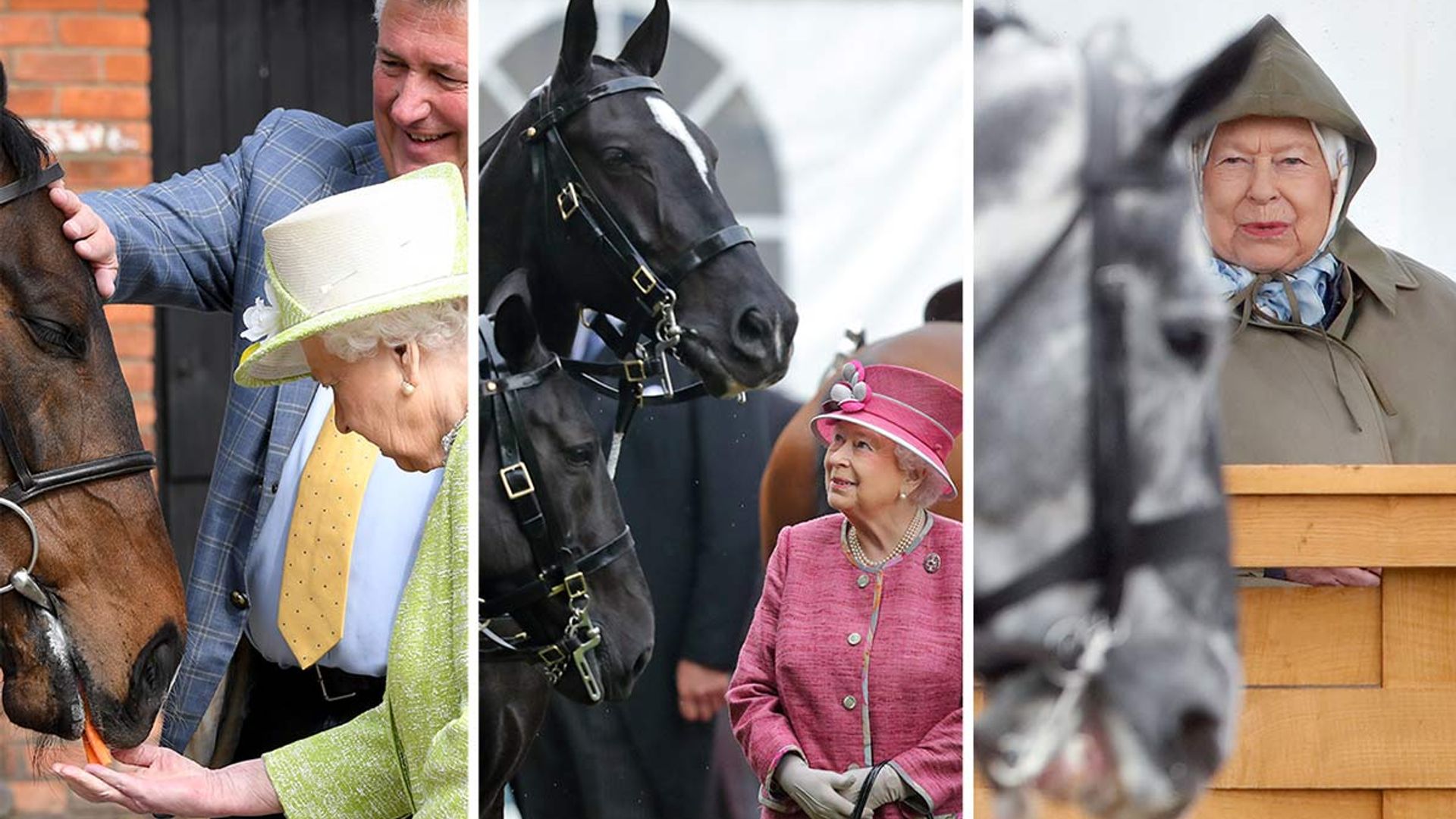 The Queen's Best Reactions To Seeing Horses – See The Photos | HELLO!