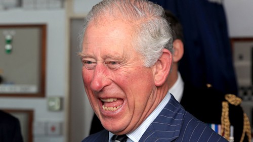 Prince Charles' charity gets pop star backing