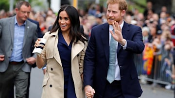 sussexes-card