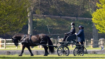 lady-louise-carriage-driving
