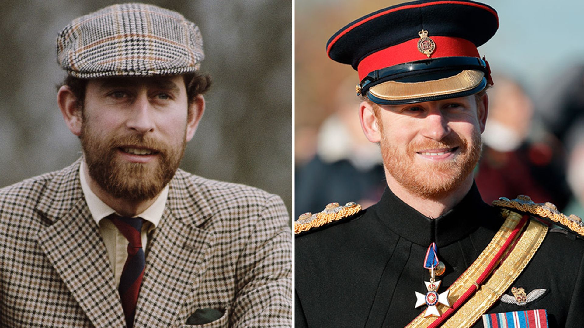 Prince Charles and Prince Harry look so alike with a beard - see the ...