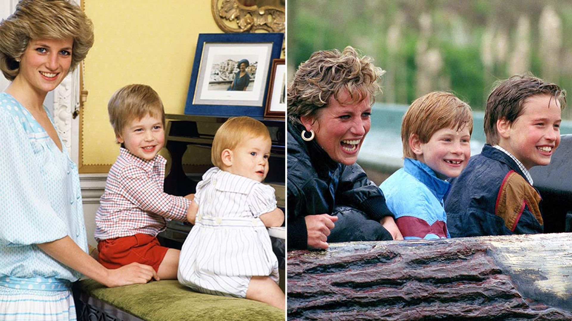 Prince Harry and Prince William's best quotes about their mum Princess ...