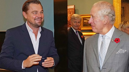 Prince Charles' photo with Leonardo DiCaprio has royal fans saying the same thing