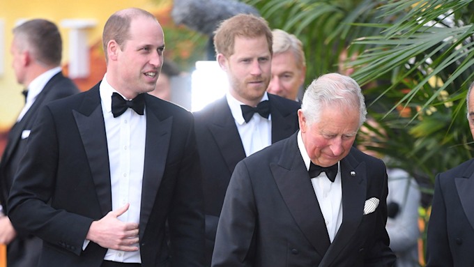 Prince Charles makes rare comments about Prince Harry and Prince ...