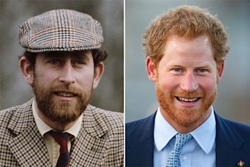prince-charles-and-prince-harry-beard