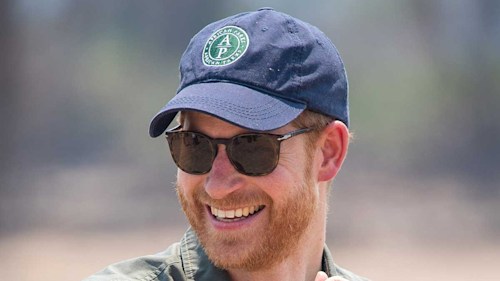 Prince Harry receives some very happy news on Meghan Markle's birthday