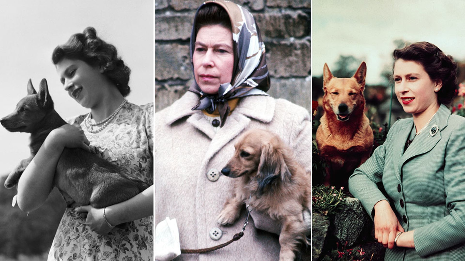 What will happen to Queen Elizabeth II's beloved Corgis? | HELLO!