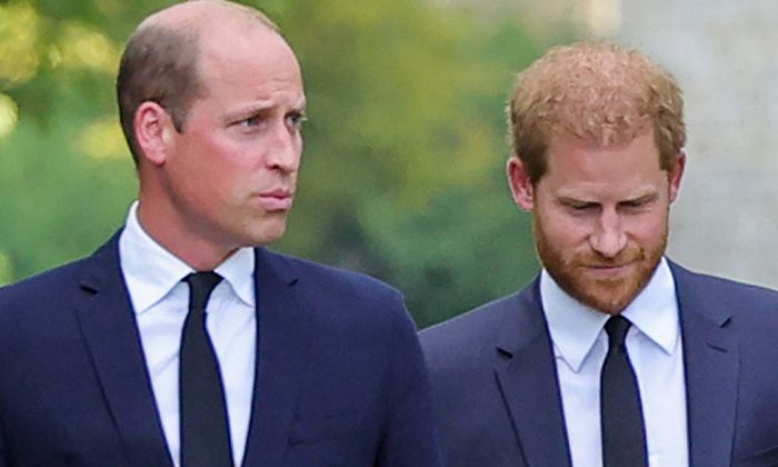 Prince William and Prince Harry's outfits for joint appearance leave ...