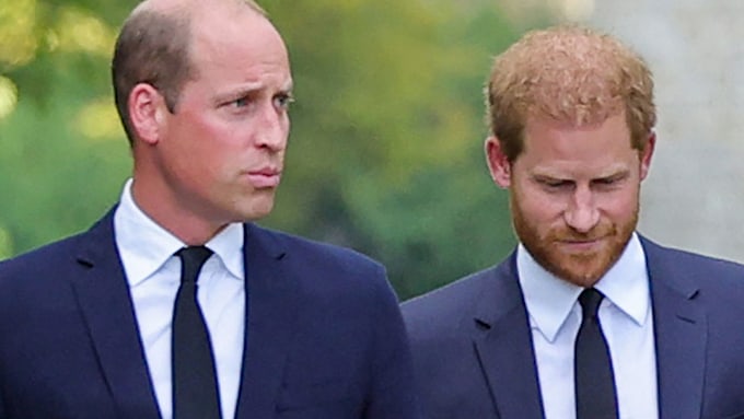 Prince William and Prince Harry's surprise joint appearance leaves fans ...