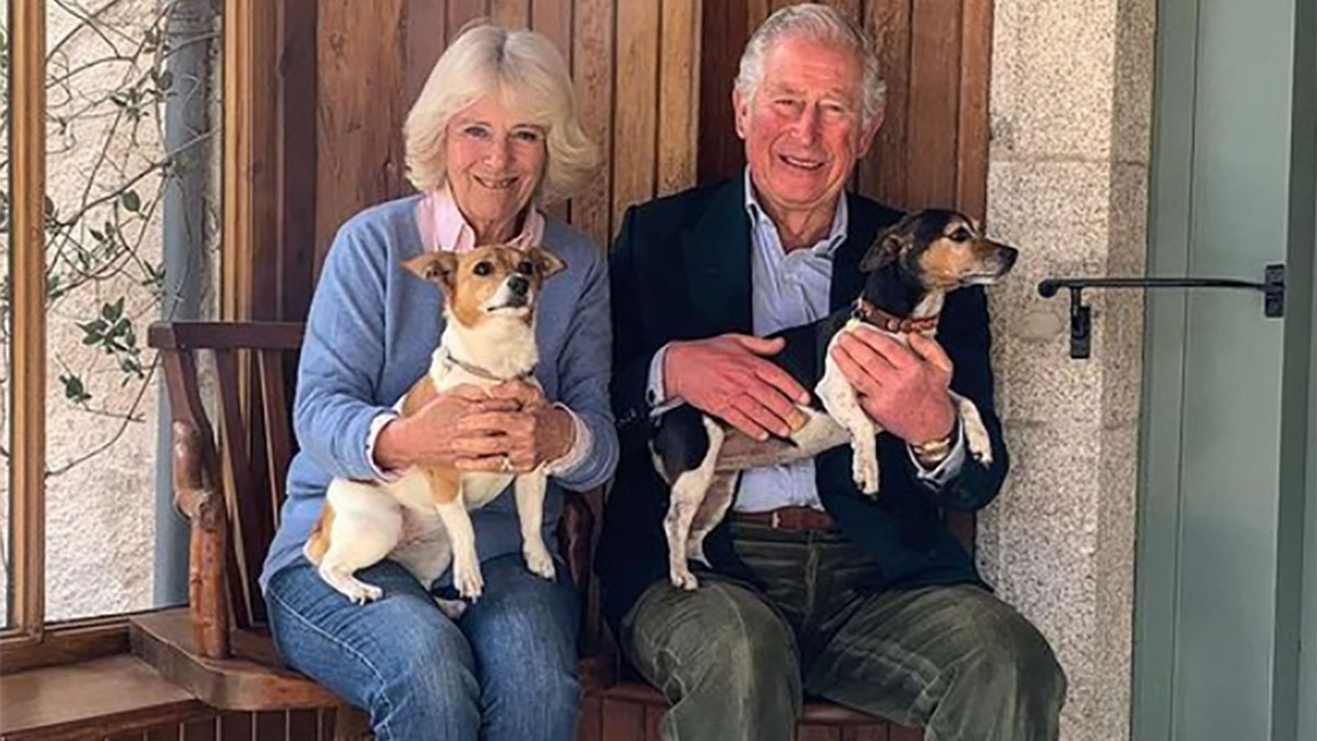 Buckingham Palace's new dogs King Charles III and Queen Camilla's