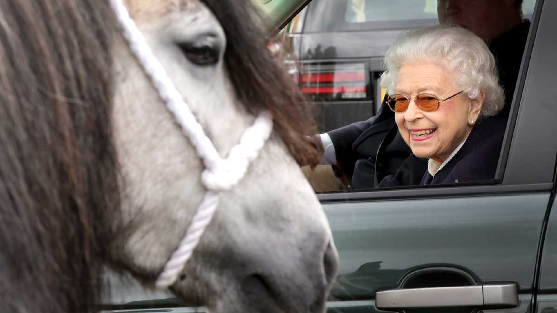 The sweet reason Queen Elizabeth II loved horses so much HELLO!