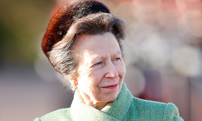 Who are Princess Anne's husband, children and grandchildren? | 15 M...