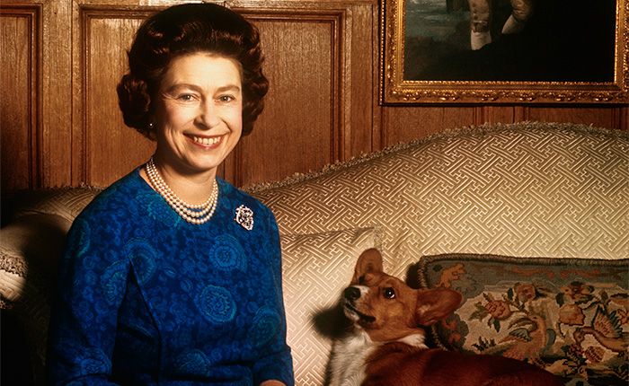 The Queen's Corgis Muick and Sandy arrive at Windsor Castle on day of ...