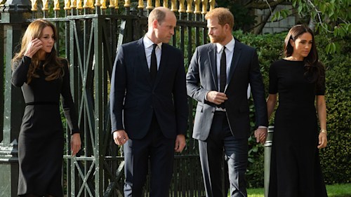 Prince Harry and Prince William made 'effort to heal rift' during family heartache