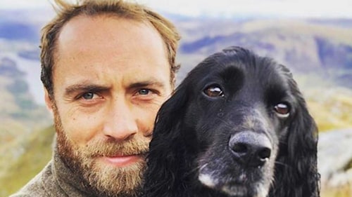 James Middleton's surprise announcement leaves fans saying the same thing
