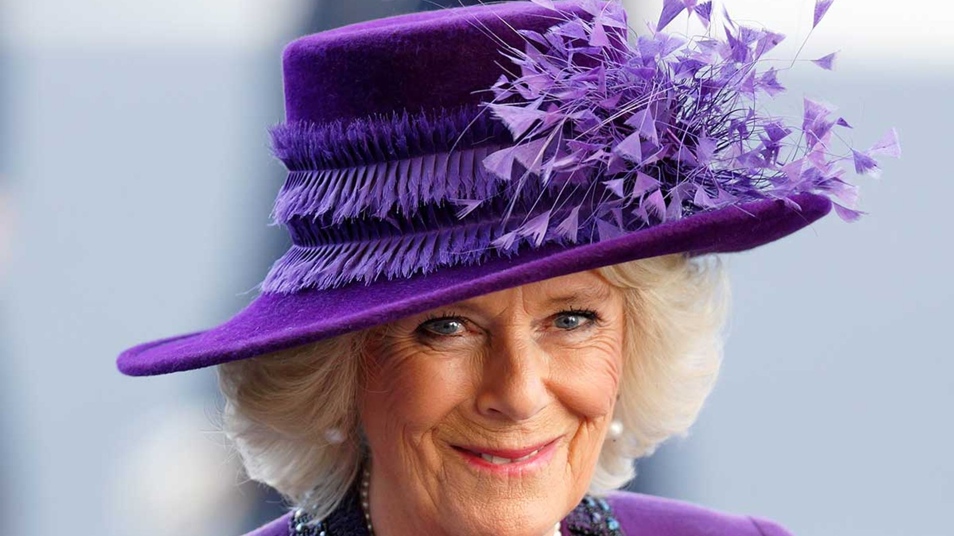 Queen Consort Camilla's incredibly special link to King Charles III's