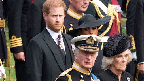 King Charles takes over son Prince Harry's role - details