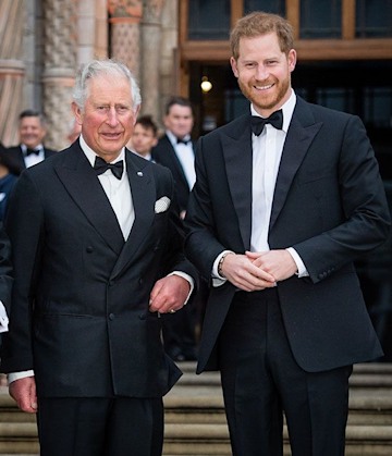 prince-harry-king-charles-event
